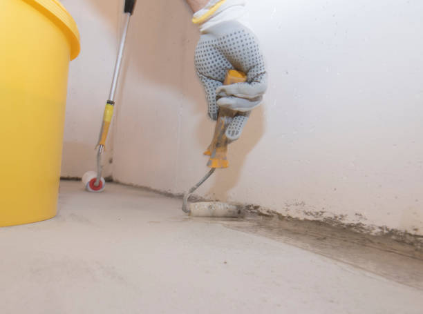 Emergency Pest Control in Tornillo, TX